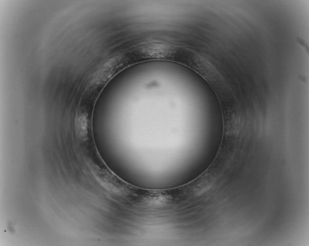 X0000102240646200807251300