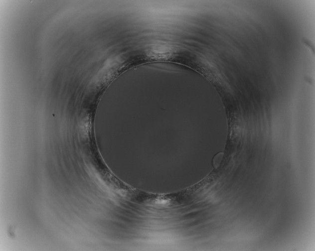 X0000102240647200807251300