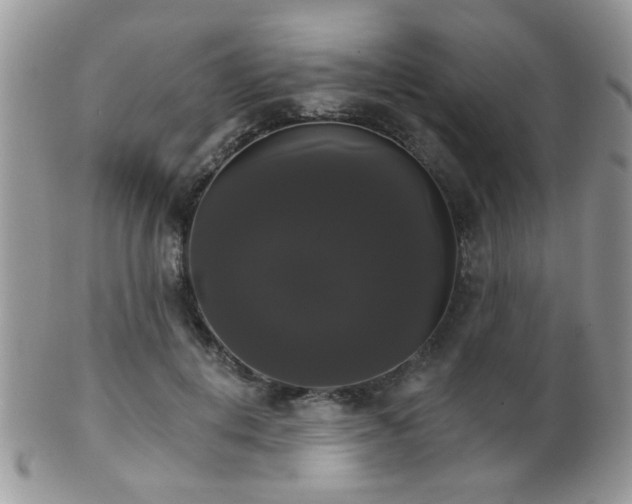 X0000102240648200807251300