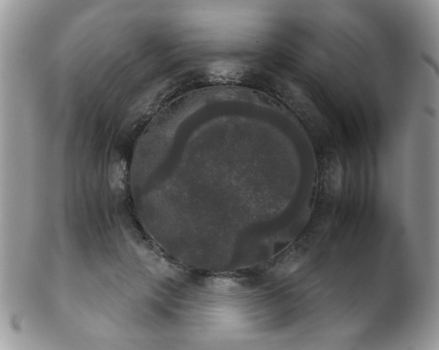 X0000102240649200807251300