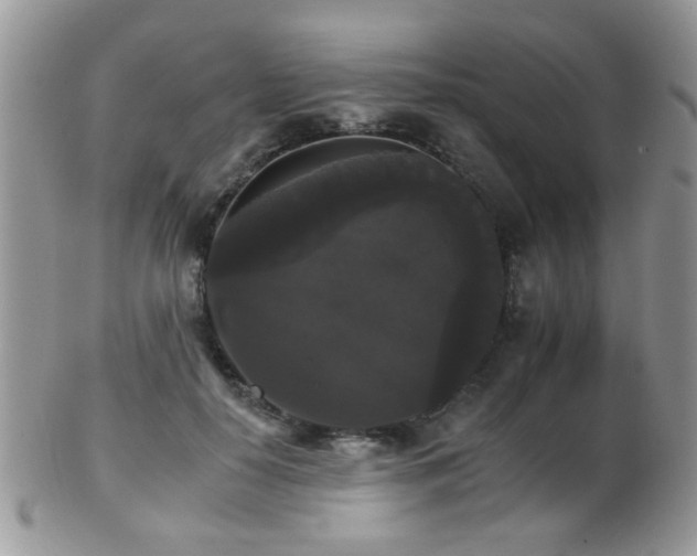 X0000102240650200807251300