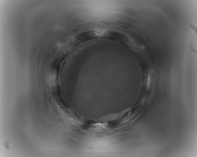 X0000102240651200807251300