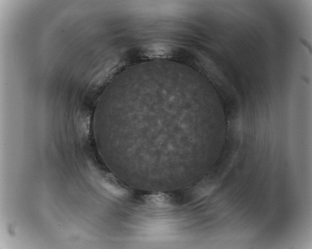 X0000102240652200807251300