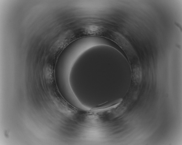 X0000102240653200807251300