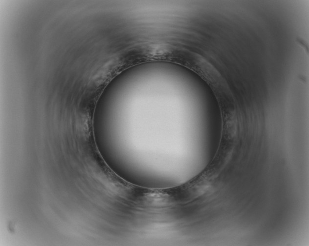 X0000102240654200807251301