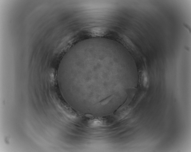 X0000102240655200807251301