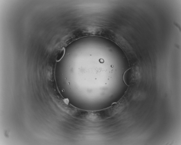 X0000102240656200807251301