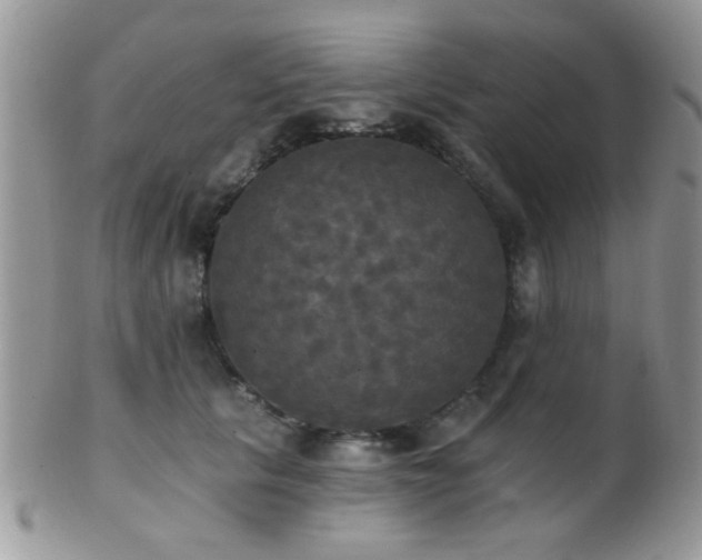 X0000102240657200807251301