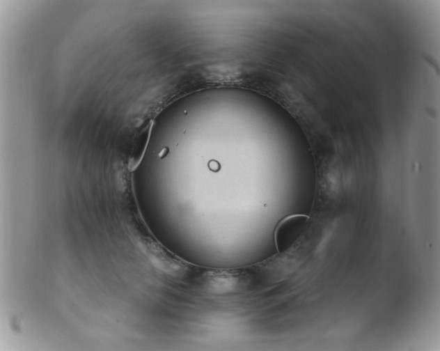 X0000102240658200807251301