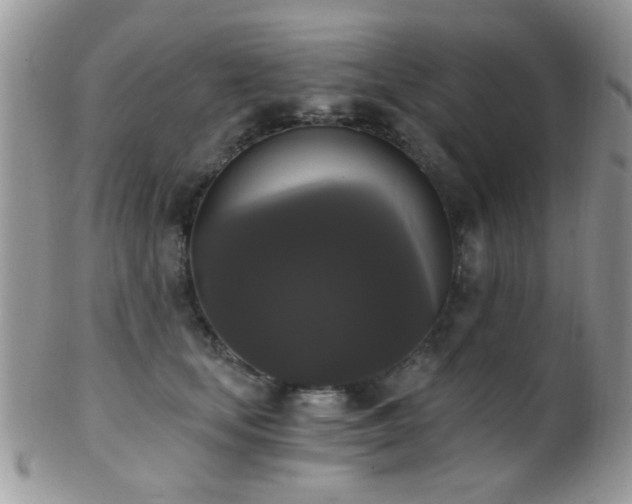 X0000102240659200807251301