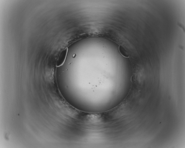 X0000102240660200807251301