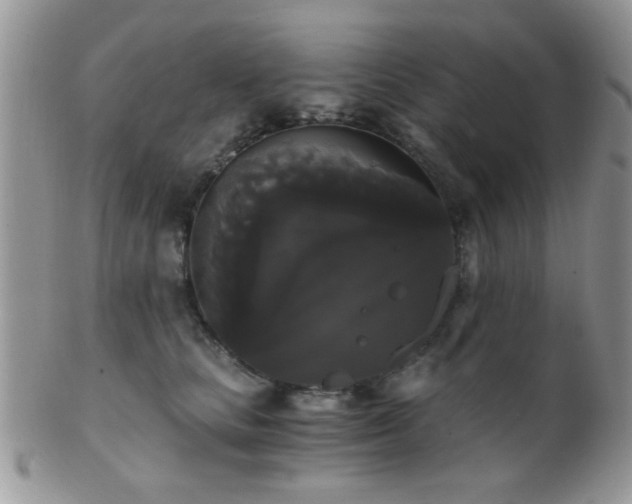 X0000102240661200807251301