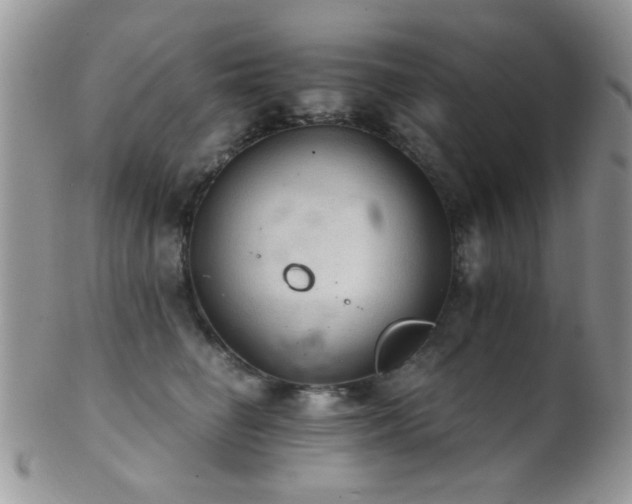 X0000102240662200807251301