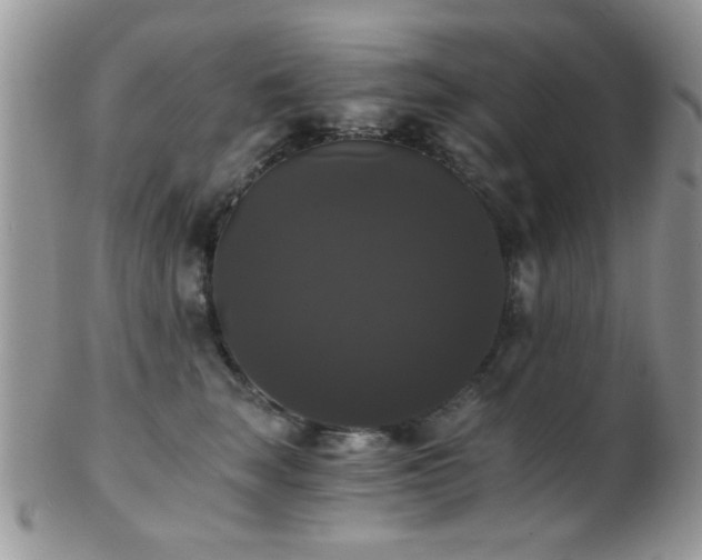 X0000102240663200807251301