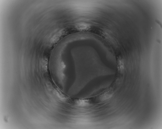 X0000102240664200807251301