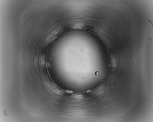 X0000102240665200807251301