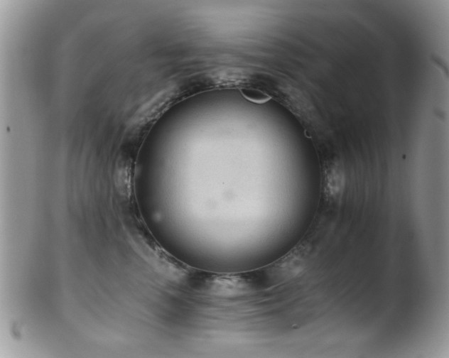 X0000102240666200807251301