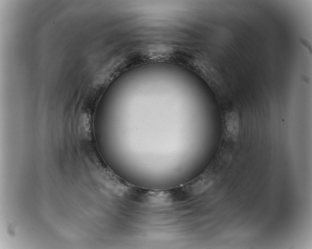 X0000102240667200807251301