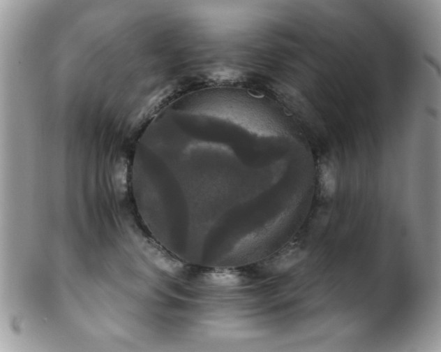 X0000102240668200807251301