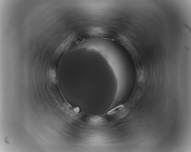 X0000102240669200807251301