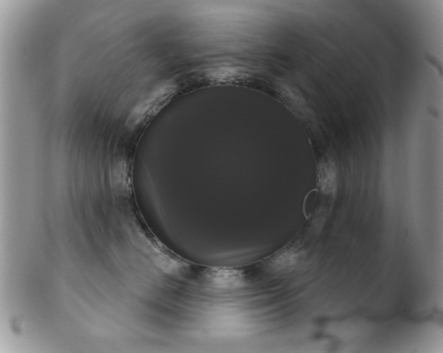 X0000102240670200807251301