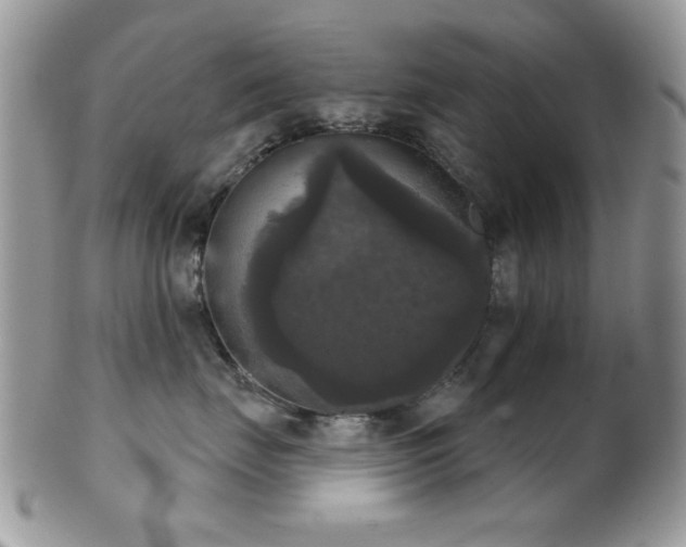 X0000102240671200807251301