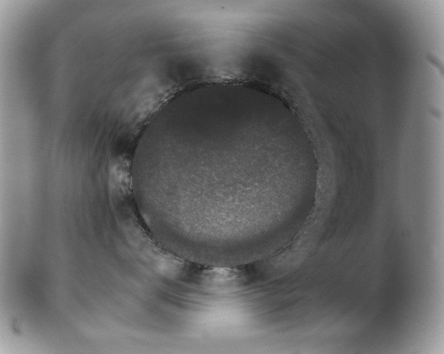 X0000102240672200807251301