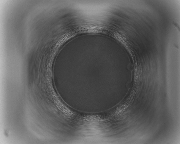 X0000102240673200807251300