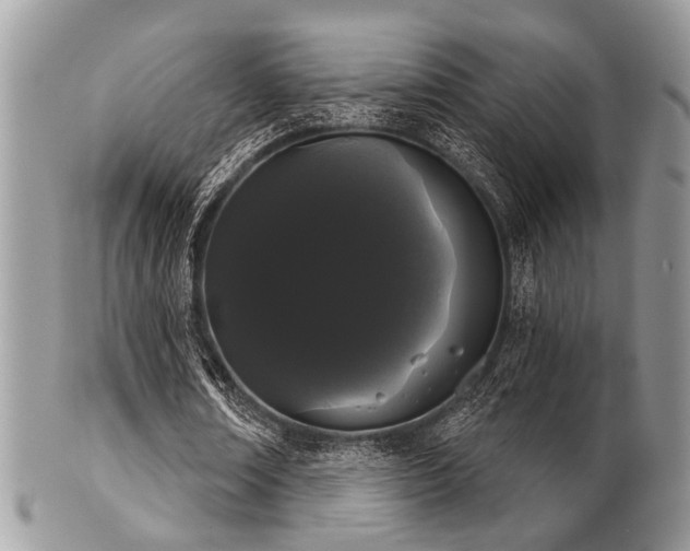 X0000102240674200807251300