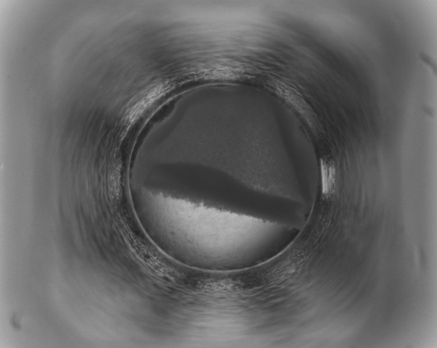 X0000102240675200807251300