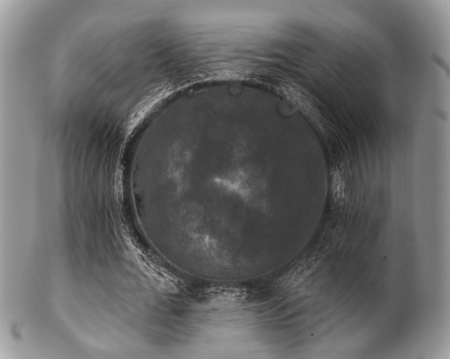 X0000102240676200807251300