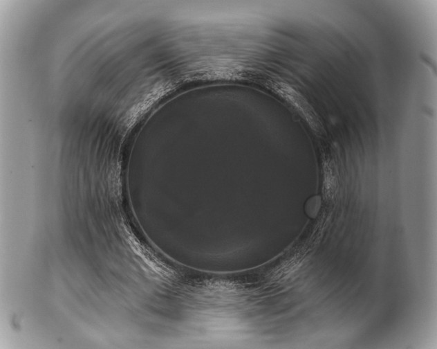 X0000102240677200807251300