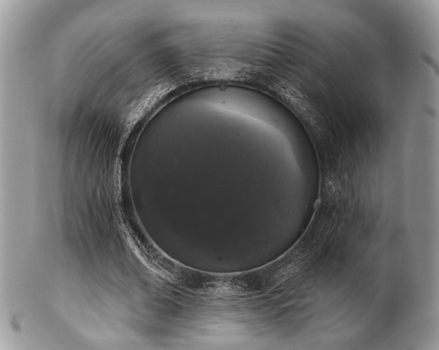 X0000102240678200807251300