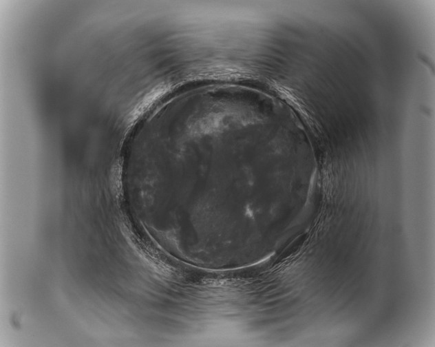 X0000102240679200807251300