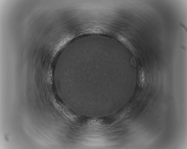 X0000102240680200807251300