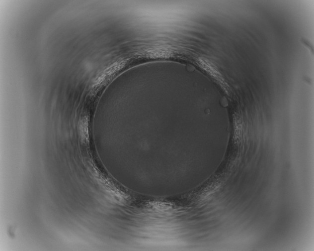 X0000102240681200807251300