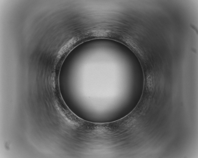 X0000102240682200807251300