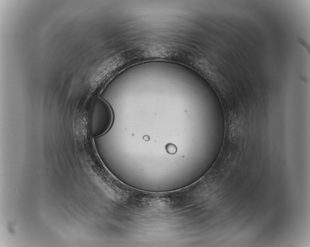 X0000102240683200807251300