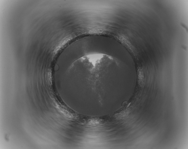 X0000102240684200807251300