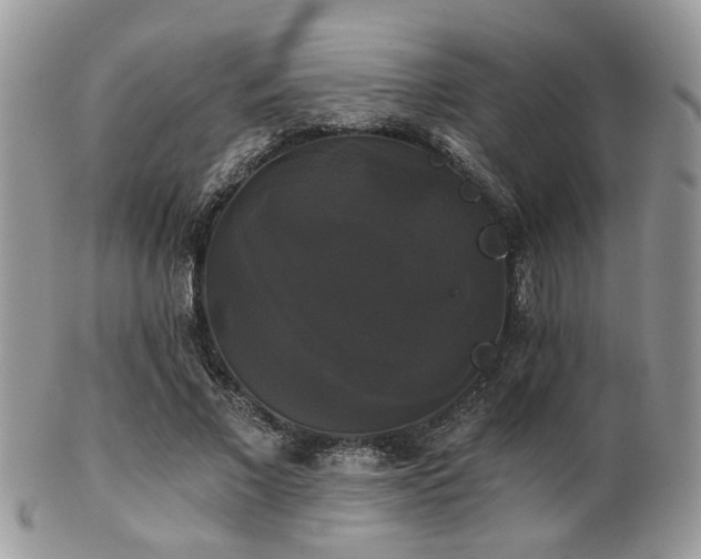 X0000102240685200807251300