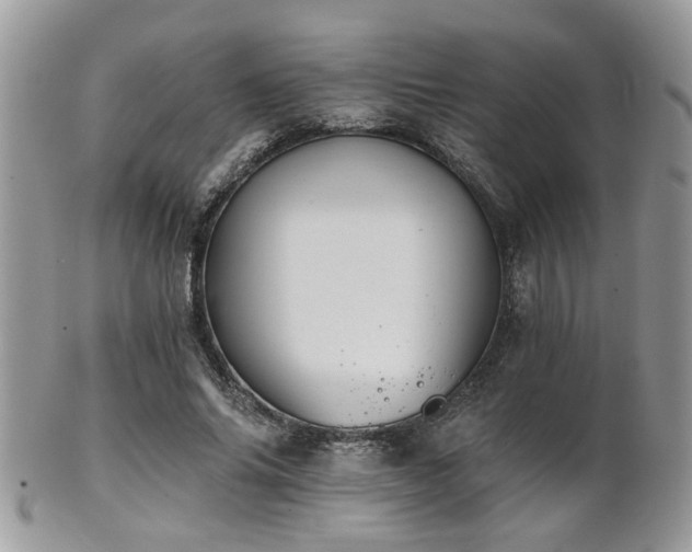 X0000102240686200807251300