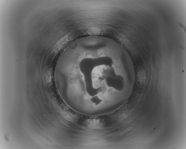 X0000102240687200807251300