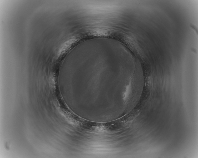 X0000102240688200807251300