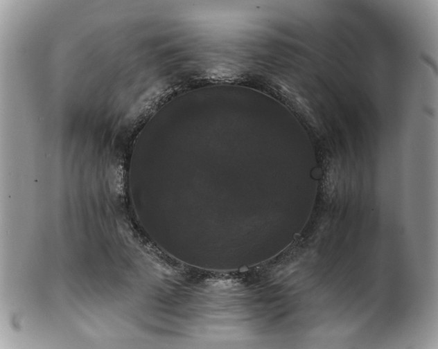 X0000102240689200807251300