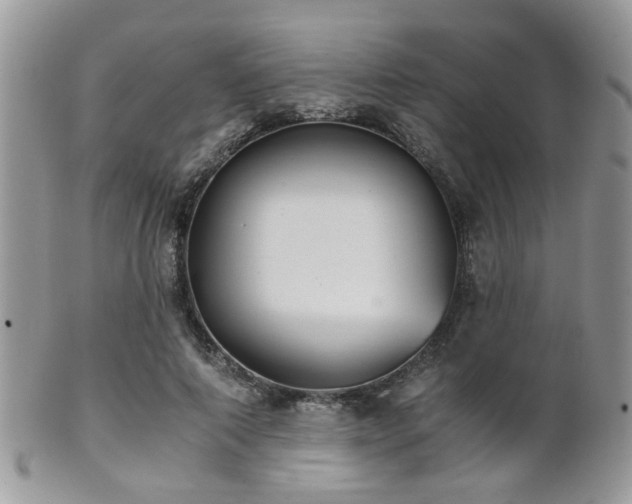 X0000102240690200807251300