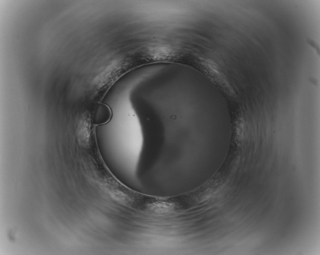 X0000102240691200807251300