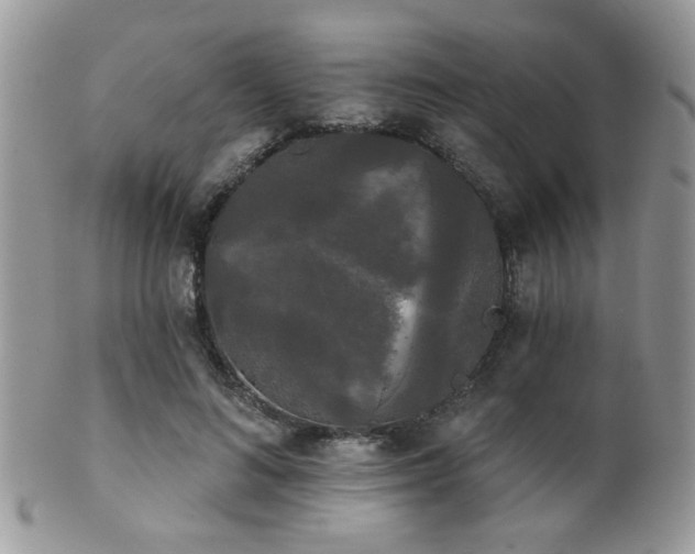 X0000102240692200807251300