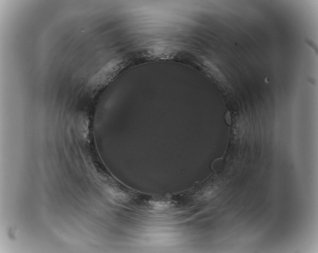 X0000102240693200807251300