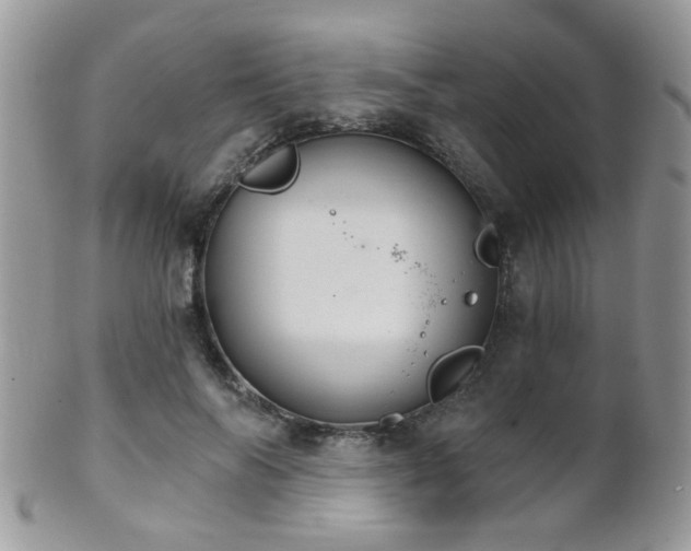 X0000102240694200807251300