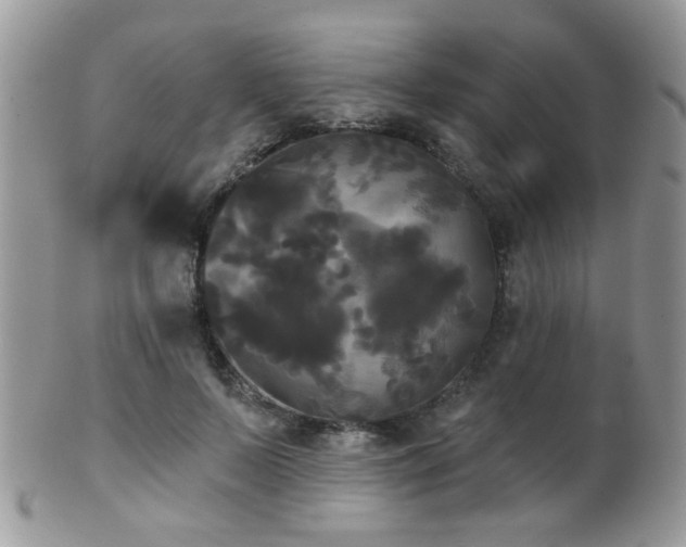 X0000102240695200807251300